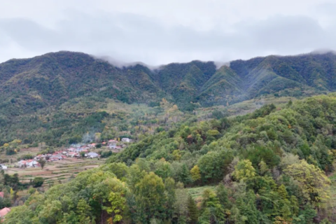 漢中黎坪八大碗：一口非遺宴席，藏著整座山的煙火人情